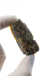Sumatran Amber (ONLINE ORDER ONLY)