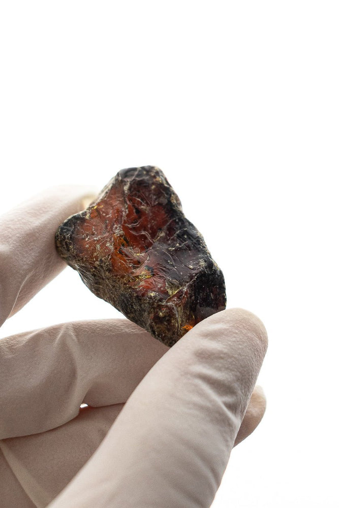 Sumatran Amber (ONLINE ORDER ONLY)