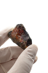 Sumatran Amber (ONLINE ORDER ONLY)
