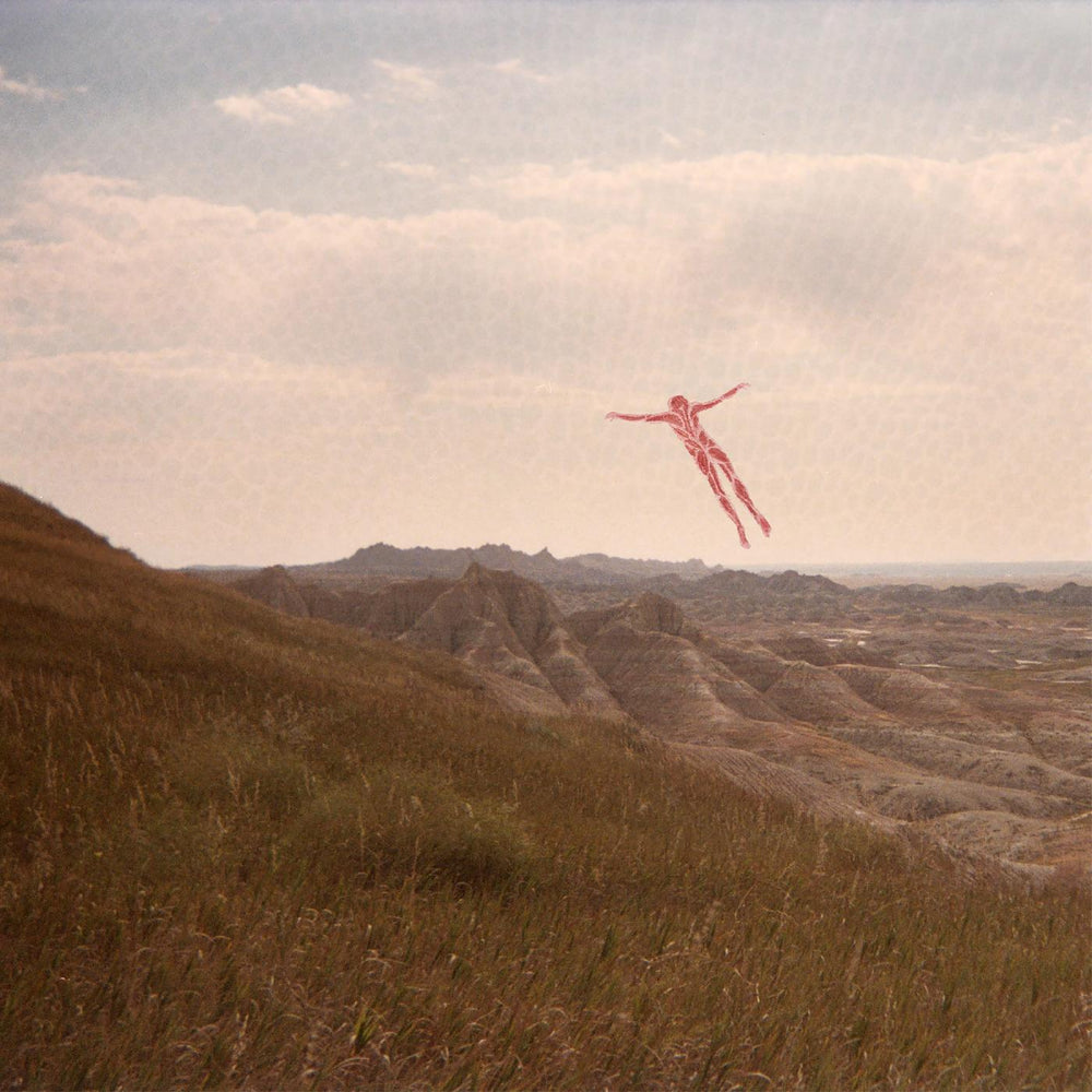 Skinless Takes a Flight [CD] (ONLINE ORDER ONLY)