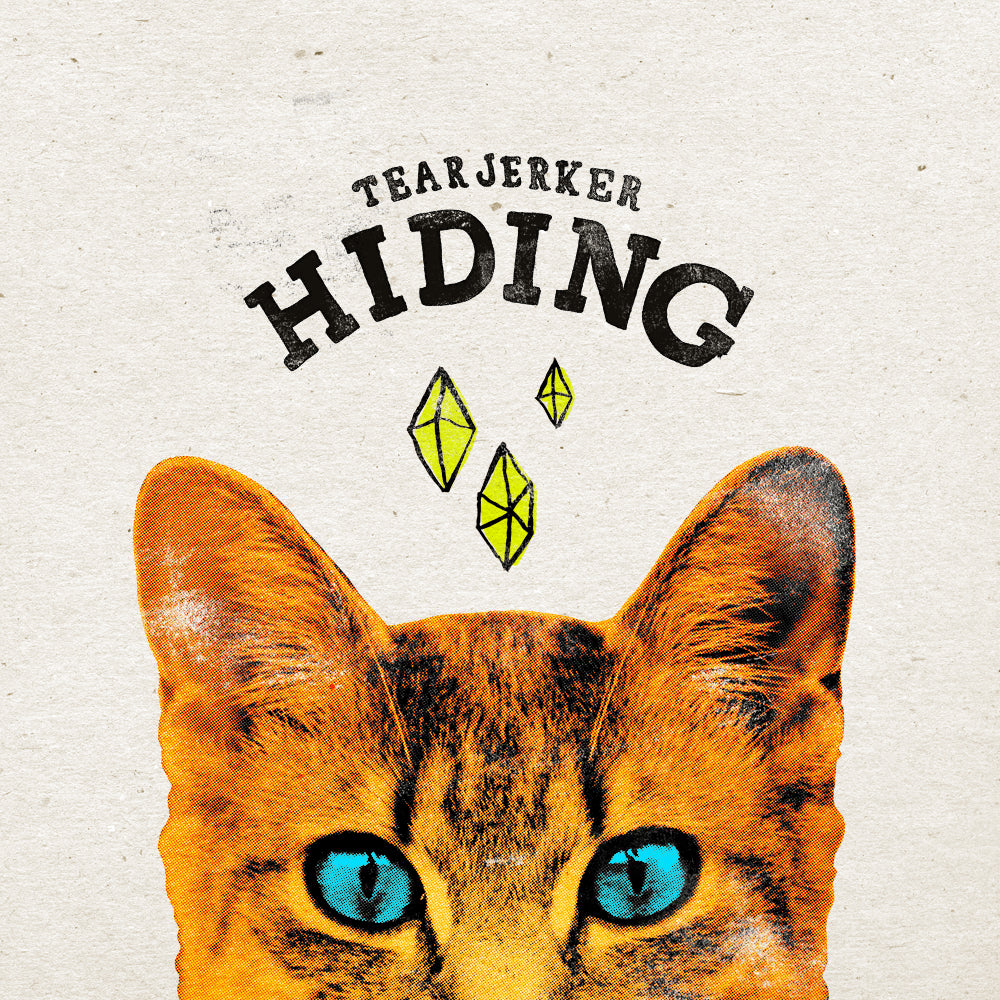 Hiding - 12" [Vinyl]