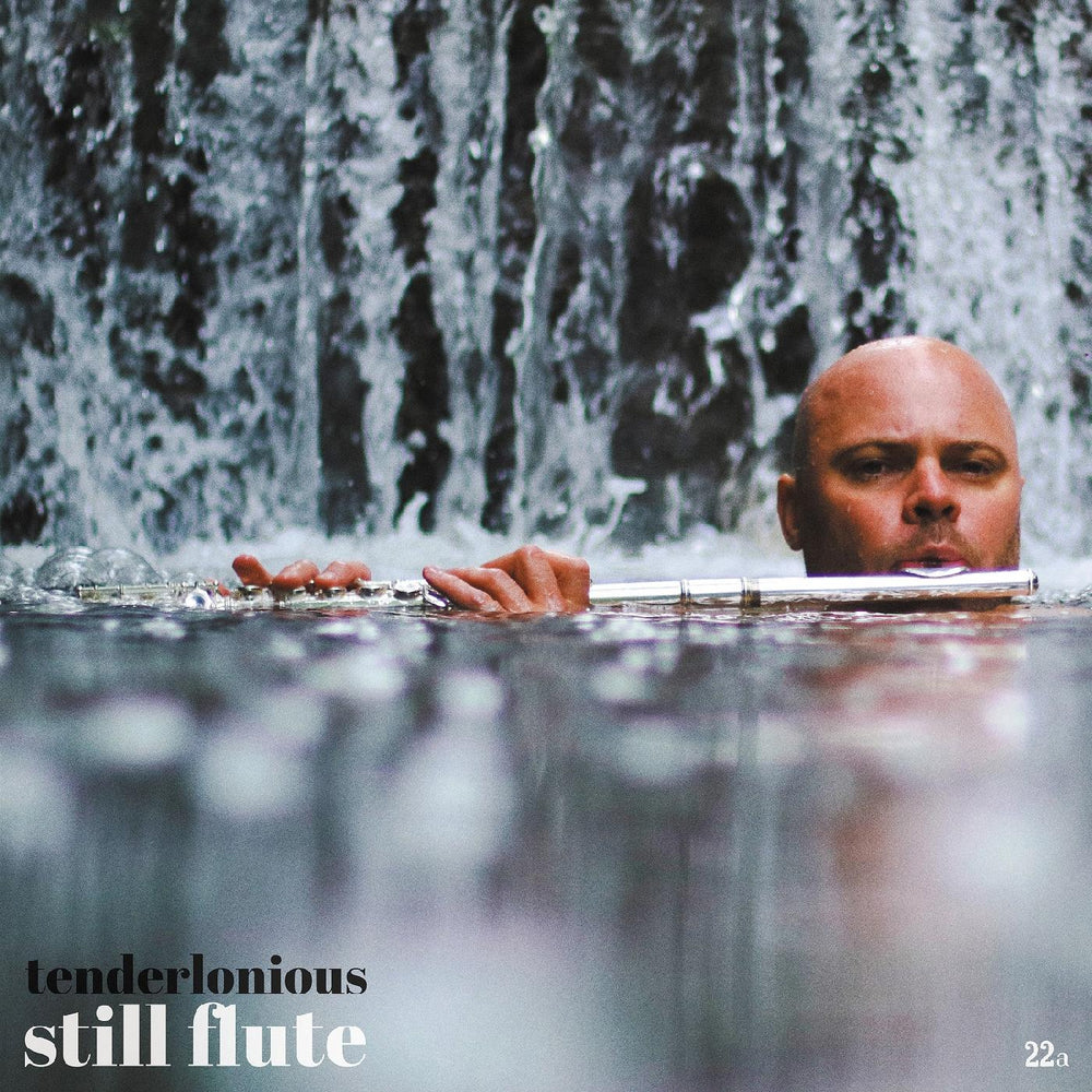 Still Flute [CD]