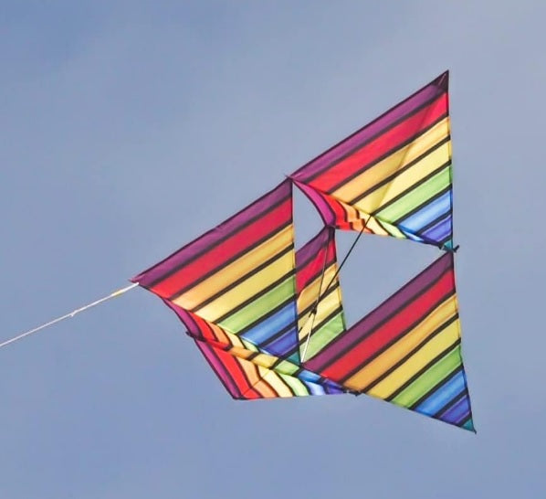 WindNSun Supersize 3-D Tetra Ripstop Nylon Cellular Kite, 51 Inches Wide (ONLINE ORDER ONLY)