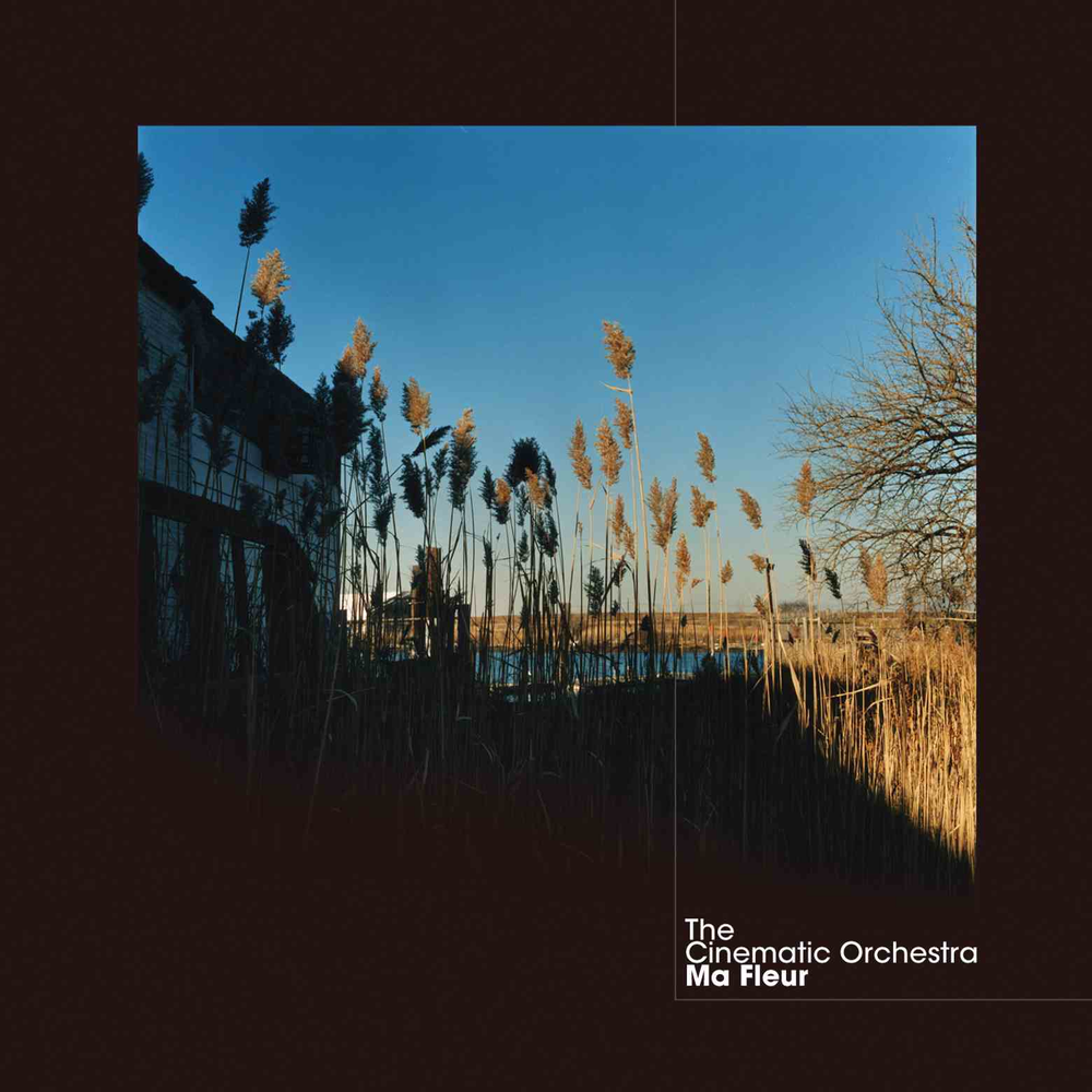 Ma Fleur [Vinyl] (ONLINE ORDER ONLY)
