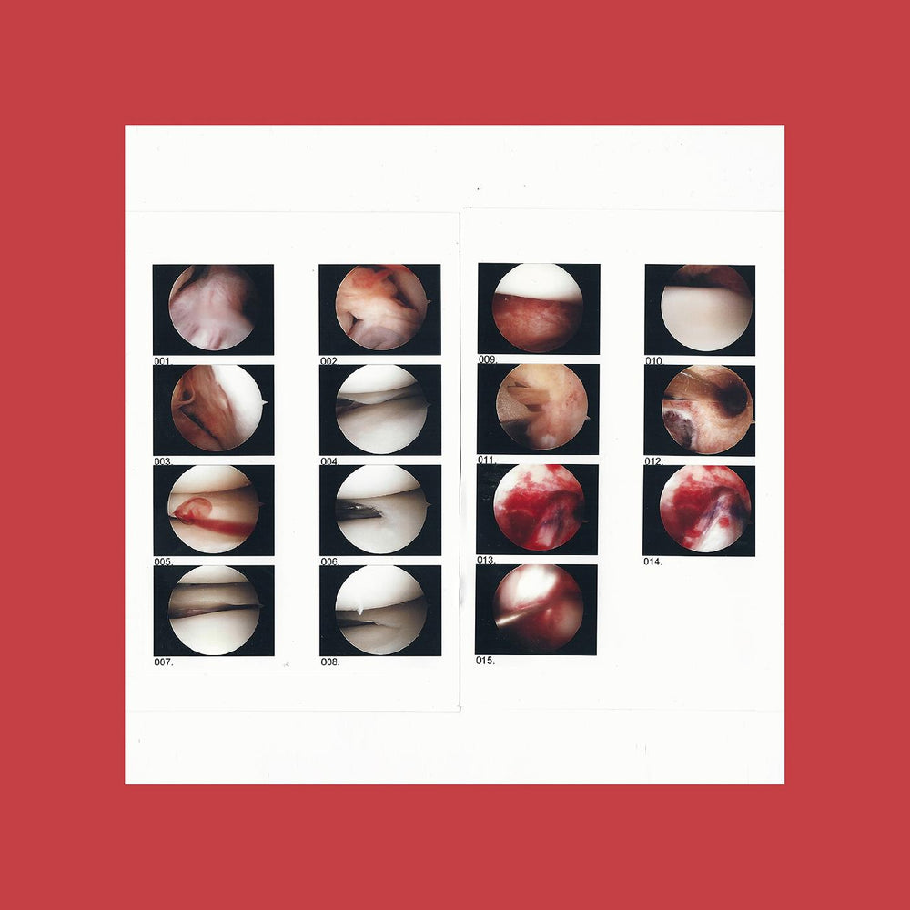 The Cradle - Laughing In My Sleep (Coke Bottle Green) [Vinyl]