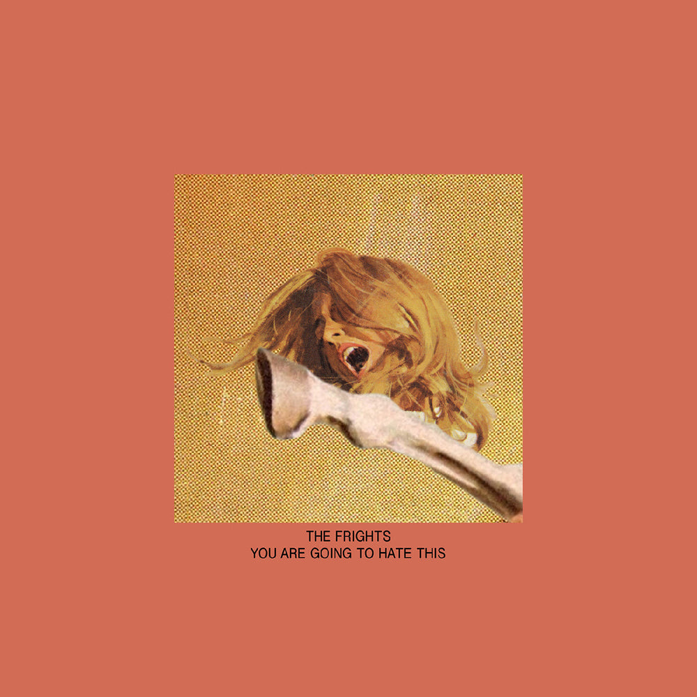 The Frights - You Are Going To Hate This [CD]