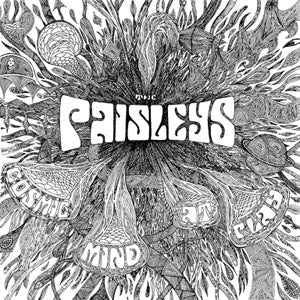 Cosmic Mind At Play [Vinyl] (ONLINE ORDER ONLY)