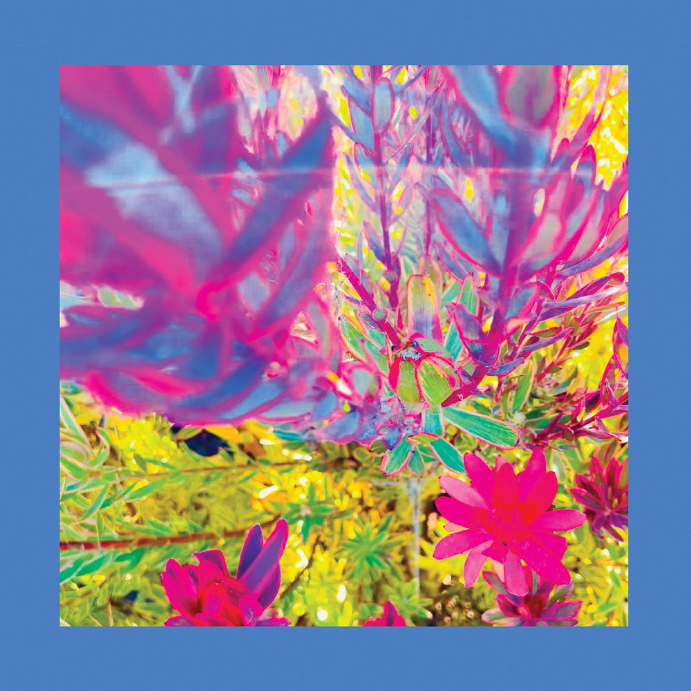 The Past Is A Garden I Never Fed [CD]