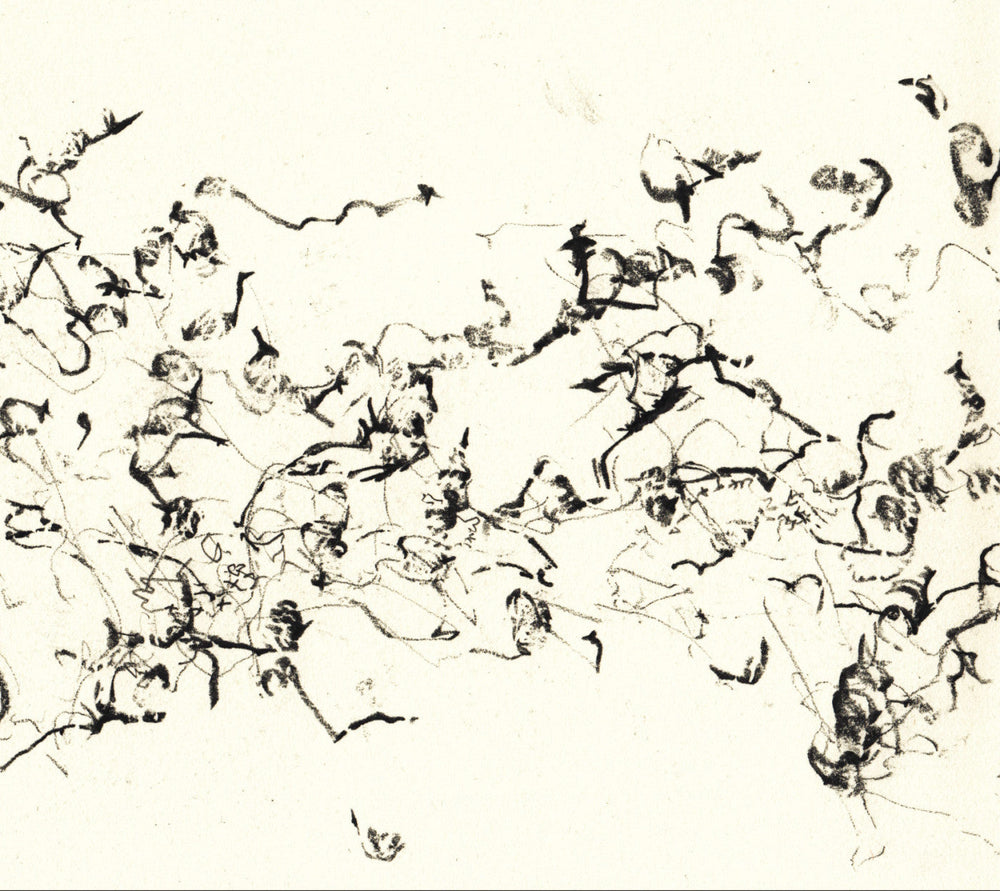 There Is No More Firmament [CD]