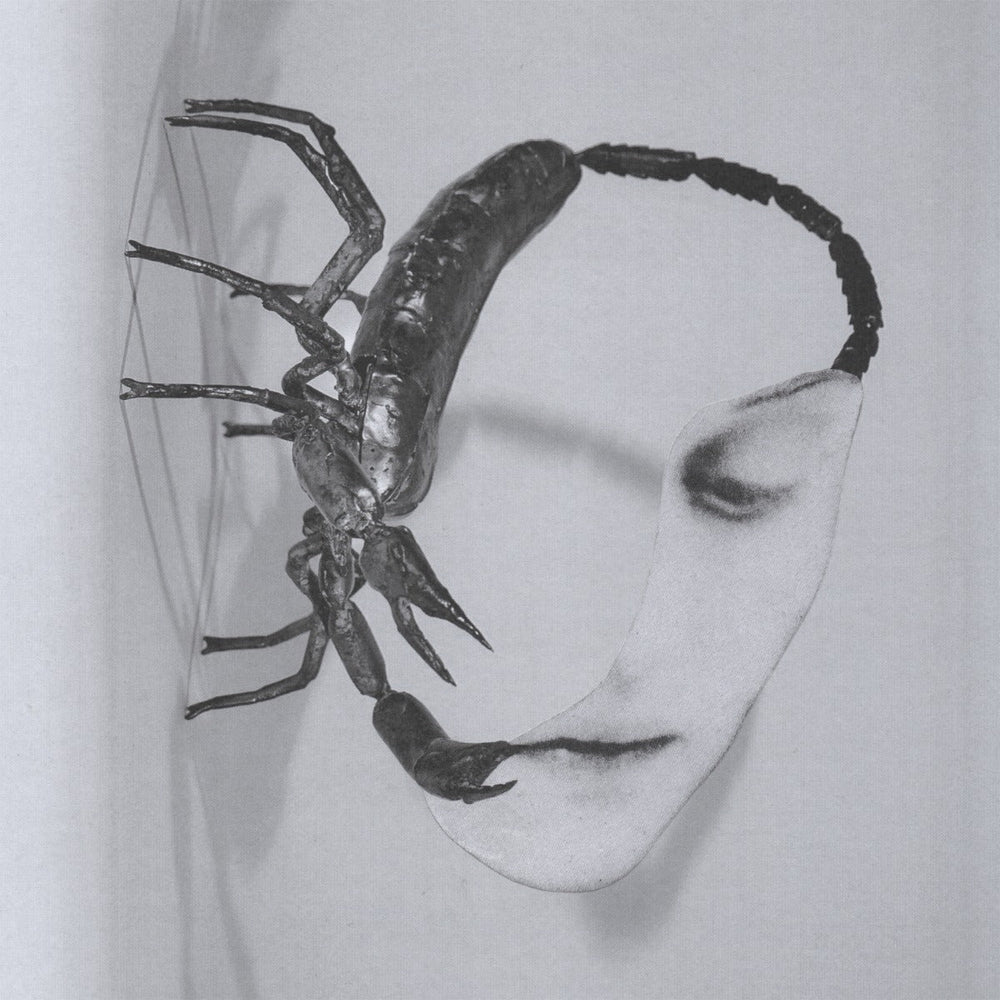 Touch [CD] [CD] (ONLINE ORDER ONLY)