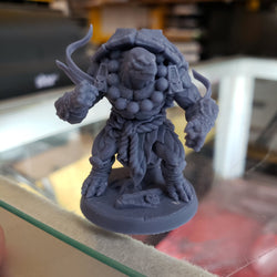 Tso'ok Raging Wrath (Male Turtlekin Monk) (Online Order Only)