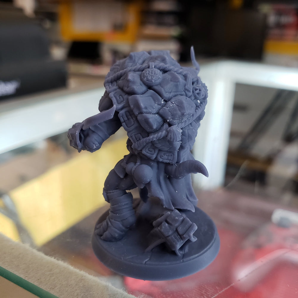 Tso'ok Raging Wrath (Male Turtlekin Monk) (Online Order Only)