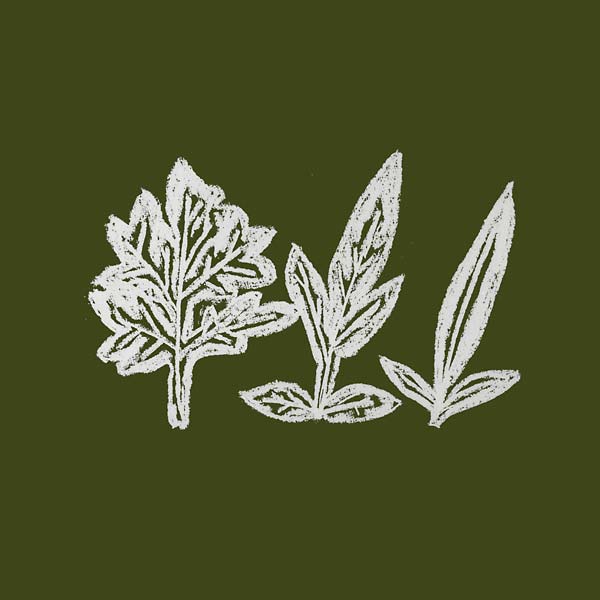 UENO TAKASHI - Variations of Weeds [CD] (ONLINE ORDER ONLY)