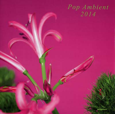 Va - Pop Ambient 2014 [CD] (ONLINE ORDER ONLY)