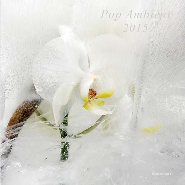 Pop Ambient 2015 [Vinyl] (ONLINE ORDER ONLY)