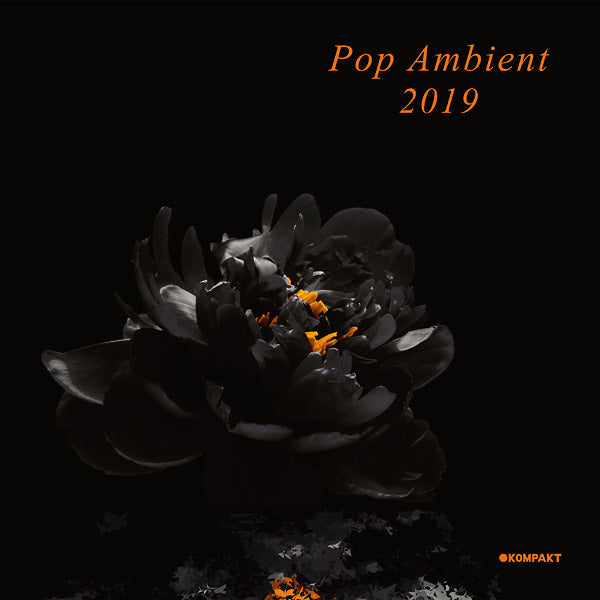Pop Ambient 2019 [Vinyl] (ONLINE ORDER ONLY)