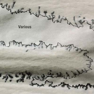Va - Various [Vinyl] (ONLINE ORDER ONLY)