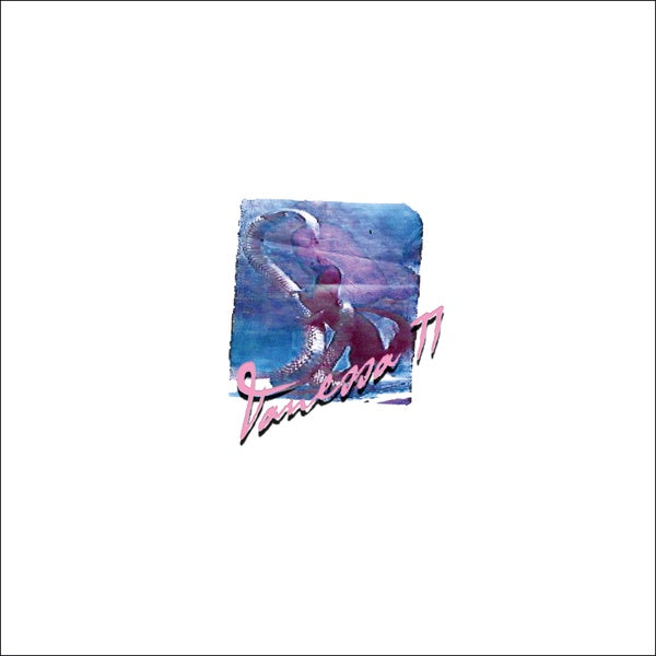 VANESSA WORM - Vanessa 77 [Vinyl] (ONLINE ORDER ONLY)