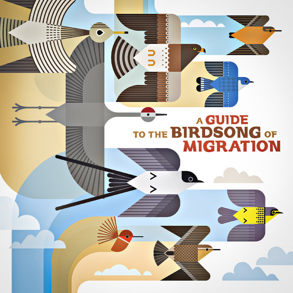 A Guide To The Birdsong Of Migration [Vinyl]