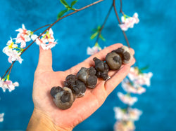Raw TRUFFLE CHALCEDONY Specimens, also known as Womb Stone, Witches Wart Chalcedony, Chalcedony Balls (ONLINE ORDER ONLY)