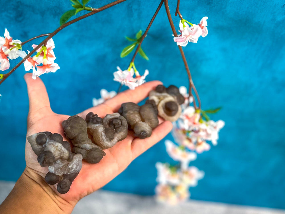Raw TRUFFLE CHALCEDONY Specimens, also known as Womb Stone, Witches Wart Chalcedony, Chalcedony Balls (ONLINE ORDER ONLY)