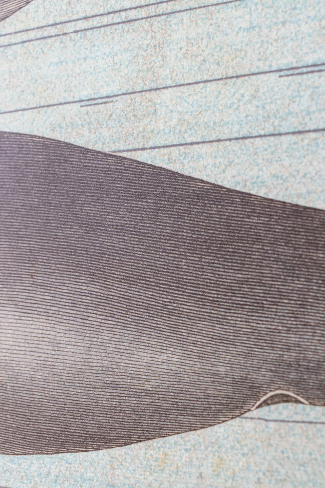 Whale Chart (ONLINE ORDER ONLY)