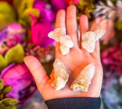 Spirit Quartz Points, Cactus Quartz Clusters, You Choose Size (ONLINE ORDER ONLY)