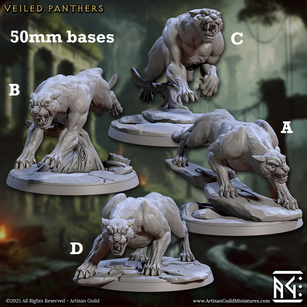 Wild Veiled Panthers (Online Only)