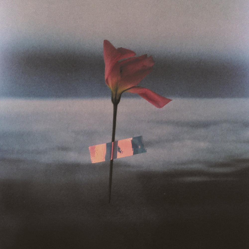 Paralanguage (COLOR VINYL) [Vinyl] (ONLINE ORDER ONLY)