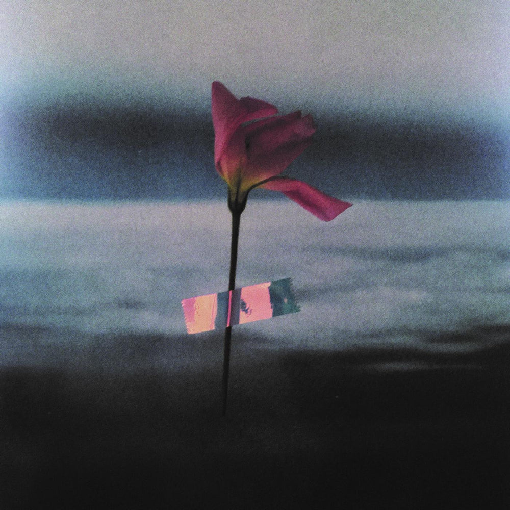 Paralanguage [CD] (ONLINE ORDER ONLY)