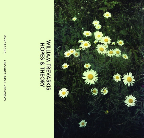 WILLIAM TREVASKIS - Hopes & Theory