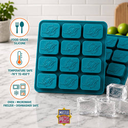 Miami Dolphins Ice Cube Tray