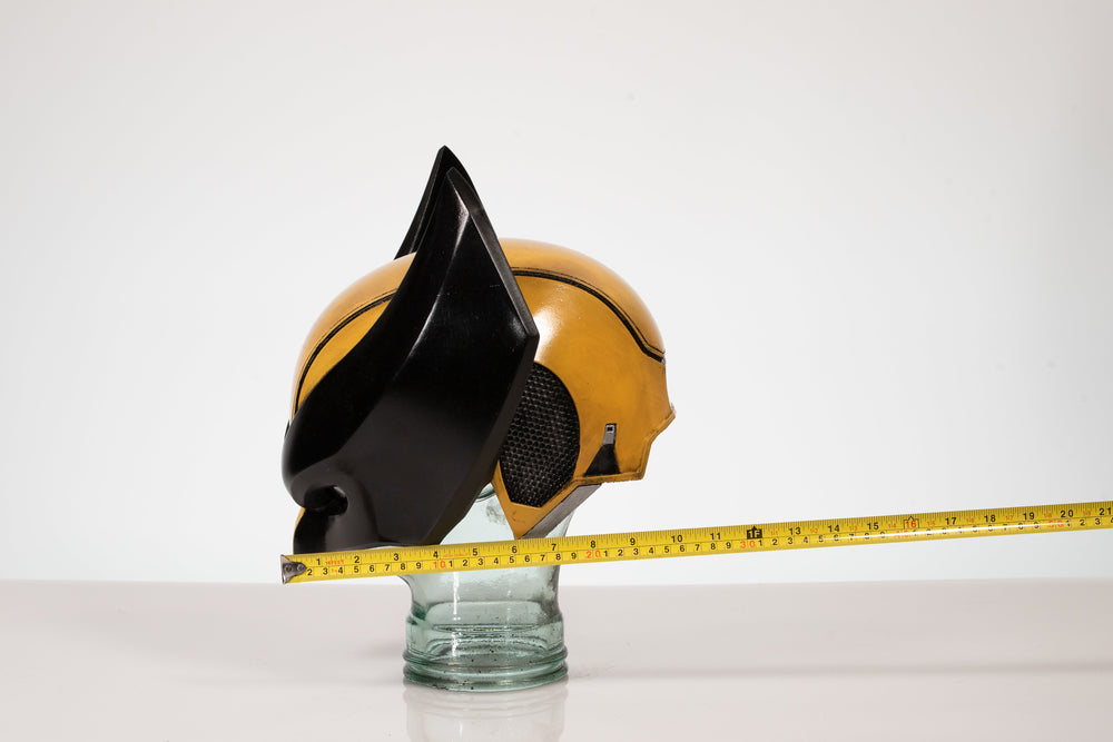 Wolverine Inspired Cosplay or Display Helmet (ONLINE ORDER ONLY)