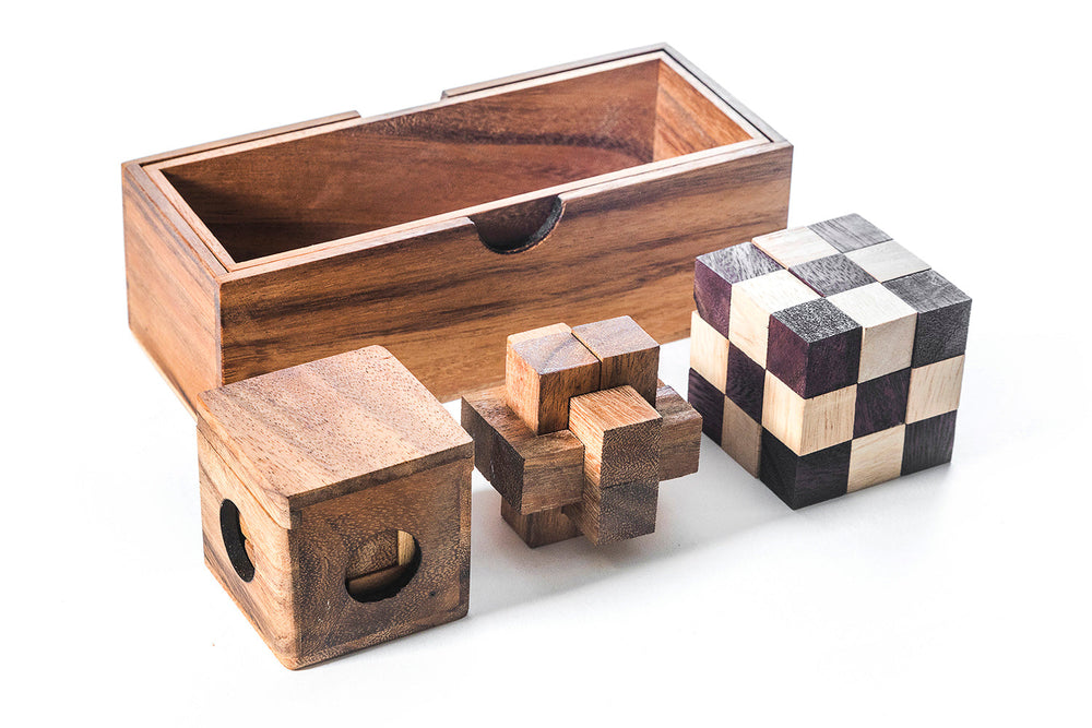 3 Brain Teaser Puzzle Gift Set