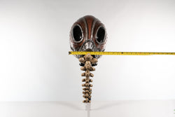 Dream Helmet Costume or Display Piece (ONLINE ORDER ONLY)