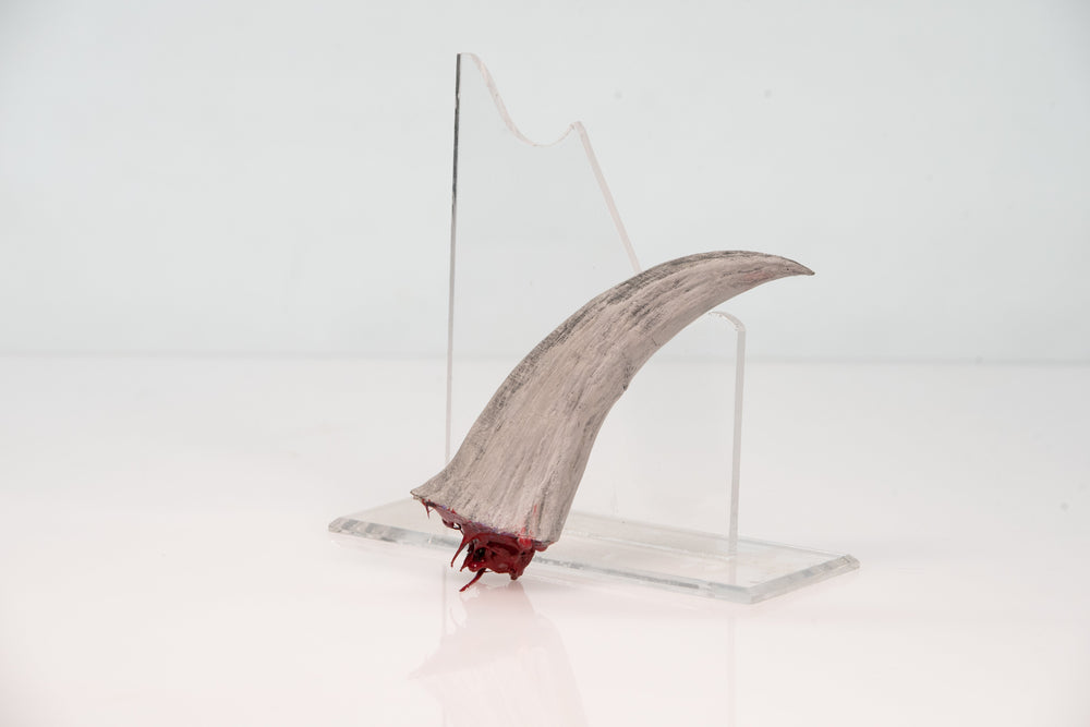 Fang Cosplay Display Prop (ONLINE ORDER ONLY)