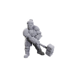 D&D Nolzur's Marvelous Miniatures: Dwarves - Limited Edition 50th Anniversary (Online Order Only)