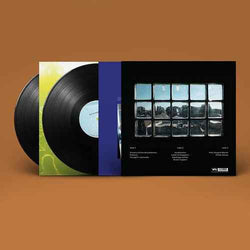 This Stupid World (2 Lp's) [Vinyl]