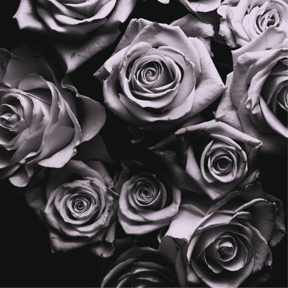 With Love [Vinyl]