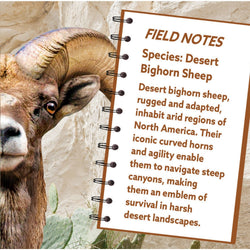 Desert Bighorn Sheep 100 Piece Shaped Jigsaw Puzzle (ONLINE ORDER ONLY)