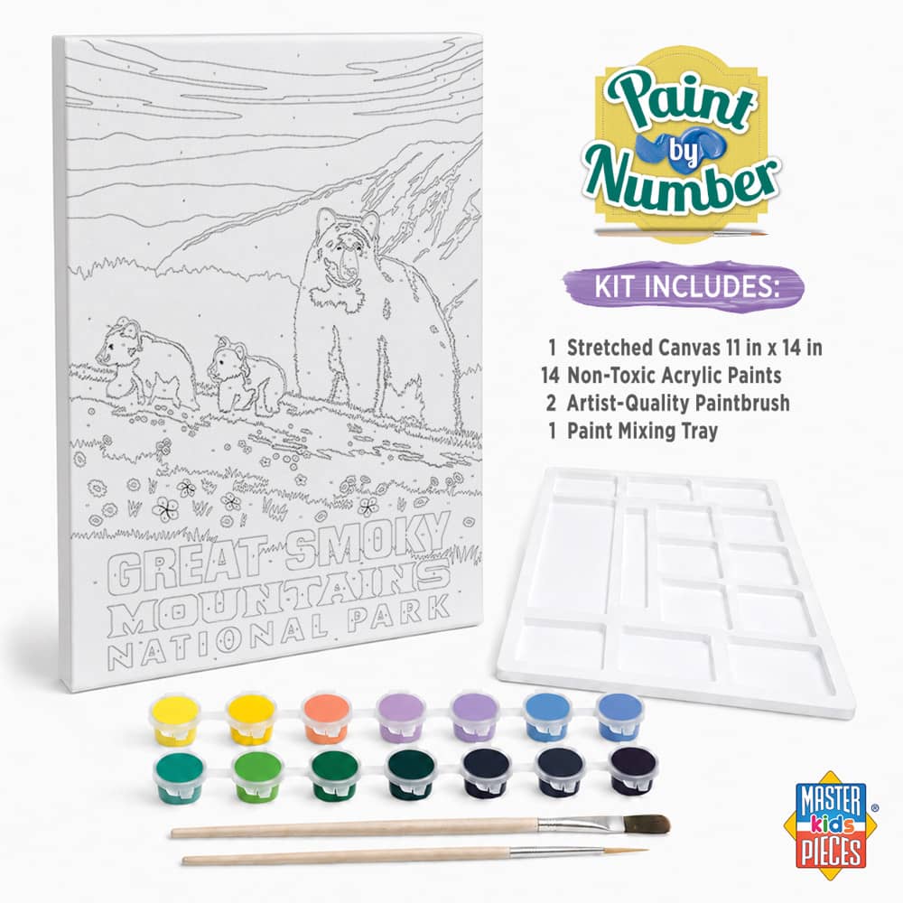 National Parks - Great Smoky Mountains Paint by Number