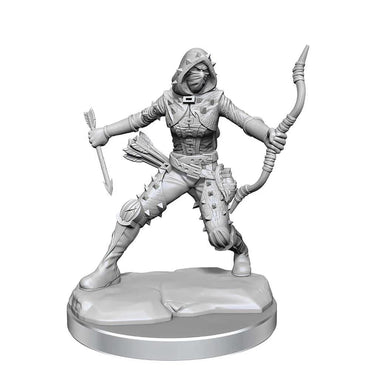 D&D Frameworks Human Rogue Female - Anime Imports LLC