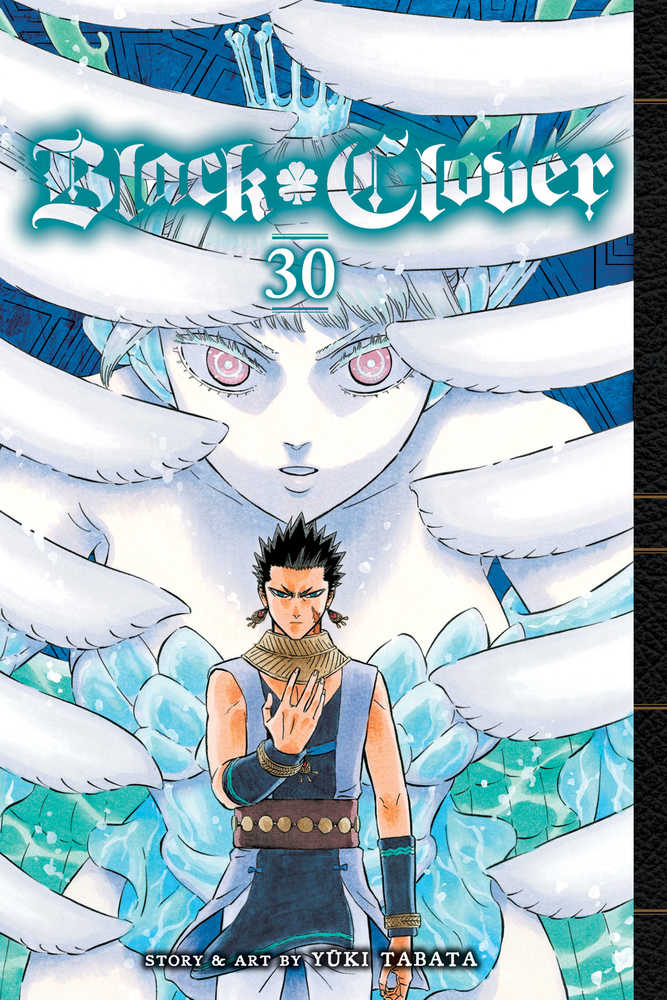 Black Clover Graphic Novel Volume 30 - Anime Imports LLC