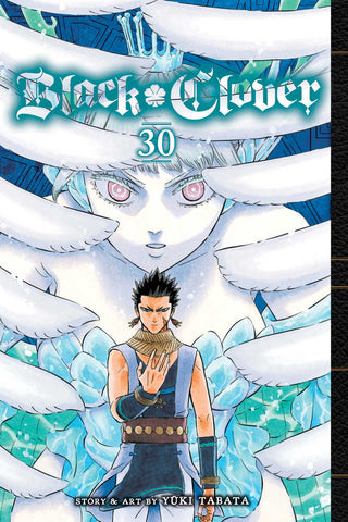 Black Clover Graphic Novel Volume 30 - Anime Imports LLC